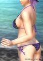 Dead or Alive 5+