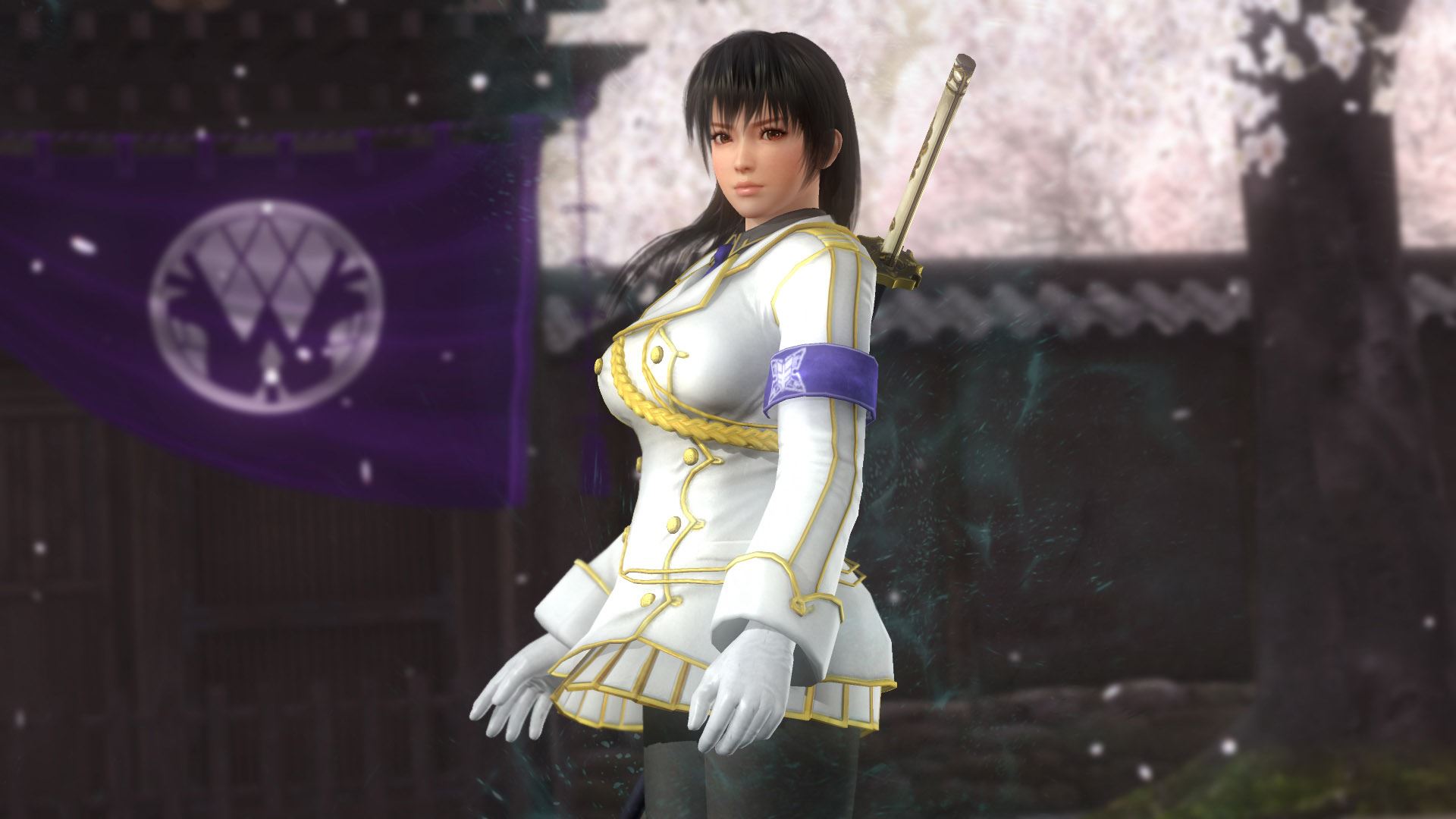 dead or alive 5 last round dlc guide