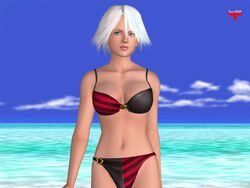 Dandonfuga, women, Christie (Dead or Alive), video game characters, curvy, big  boobs, belly, women outdoors, digital art, artwork, Dead or Alive,  swimwear, bikini, video games, video game girls, video game warriors, boobs