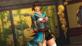 DOA5LR Samurai Warriors Mashup