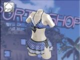 Marie Rose/Dead or Alive Xtreme 3 costumes