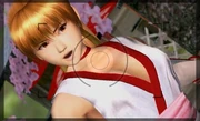 A figurine of Kasumi through the camera lens.