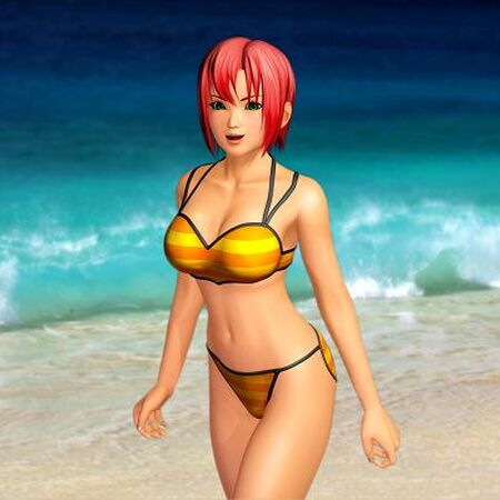List Of Dead Or Alive Paradise Characters Dead Or Alive Wiki Fandom