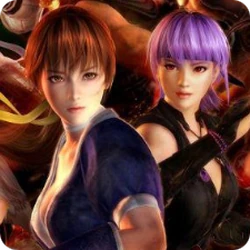 DOA5Icon2.png