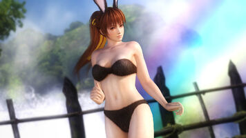 Kasumi: Black rabbit-theme strapless bikini made from faux fur, with a tail on the shorts, ear accessories, and beach footwear.