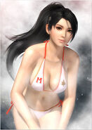 Bathroom poster of Marlin Momiji from Dead or Alive 5 Ultimate, part of a pre-order bonus.