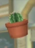 DOAXCactus
