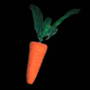 DOAHCarrot