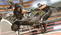 vs. Ryu Hayabusa