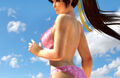 Dead or Alive 5+