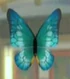 DOAXBVButterflyHairClip(Cyan)