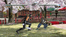  versus  during Ryu's Story Mode in Dead or Alive 4.