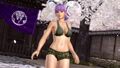 DOA5 Player's Swimwear Pack 3