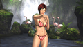 Player's Swimwear Pack 2