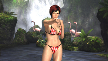 The "Leprechaun" for Mila: Red and white checkered side-tie bikini with black hemlines. (Originally Ayane's)