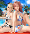 Clear image file with Marie Rose and Honoka for Dead Or Alive Xtreme 3 Venus