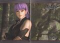 Artbook - DOA5