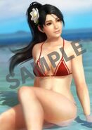 Waterproof promotional poster of Beach Party Momiji from Dead or Alive 5 Last Round