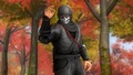 Ninja Clan 2 Costumes