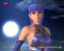 Dead Or Alive 4 Promotional Artwork And Wallpapers Dead Or Alive Wiki Fandom Dead Or Alive 4 Promotional Artwork And Wallpapers Dead Or Alive Wiki Fandom