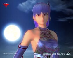 Dead Or Alive 4 Promotional Artwork And Wallpapers Dead Or Alive Wiki Fandom