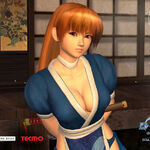 Dead Or Alive Online Promotional Artwork And Wallpapers Dead Or Alive Wiki Fandom