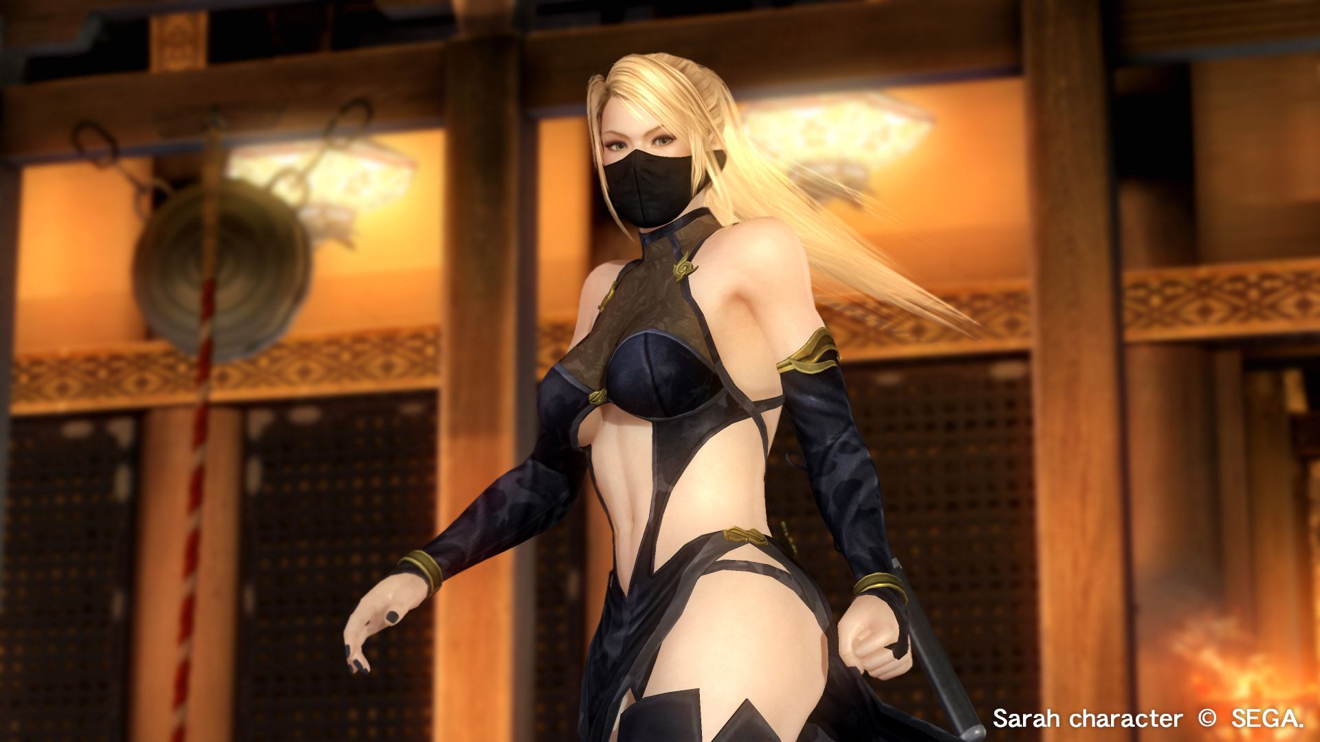 dead or alive 5 last round dlc just characters