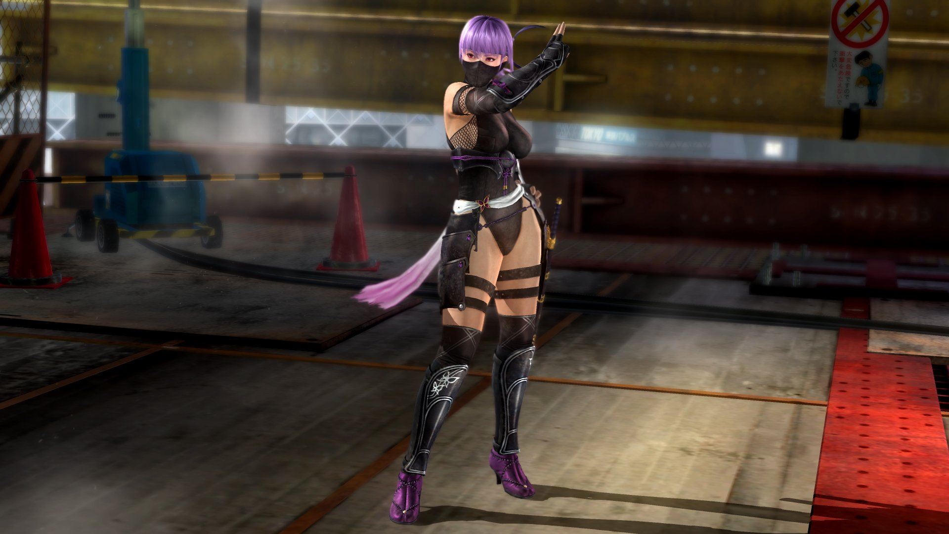 dead or alive 5 last round dlc compatibility region