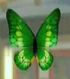 DOAXBVButterflyHairClip(Green)