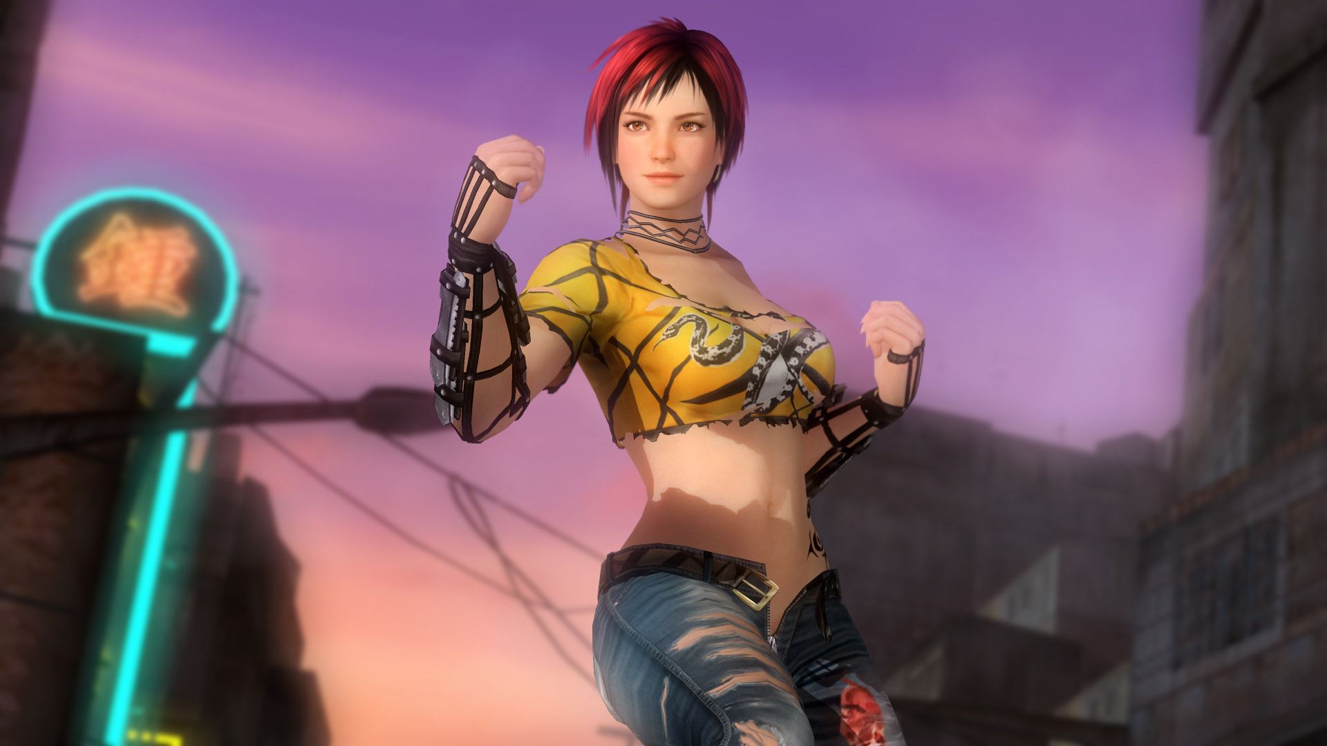 dead or alive 5 last round dlc 351850