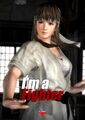 DOA5 Poster Hitomi