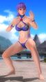 Gust Mashup Swimwear