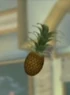 DOAXPineapple