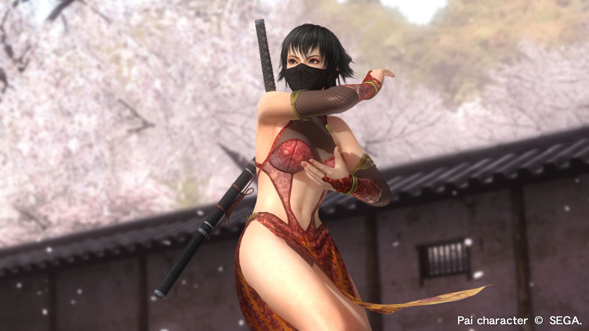 dead or alive 5 last round dlc just characters dead or alive 5 last round dlc just characters