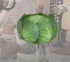 Cabbage