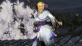 DOA5LR Samurai Warriors Mashup