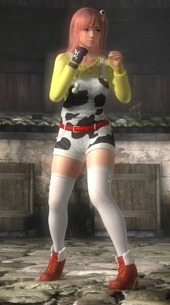 Honoka Dead Or Alive 5 Last Round Costumes Dead Or Alive Wiki Fandom