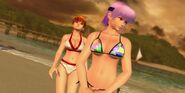 Ayane and Kasumi taking a walk together