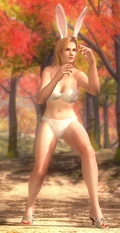 DOA5U Tina Bunny W.jpg