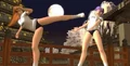 DOAU Kasumi vs Ayane.jpg (31 KB) Kasumi vs. Ayane
