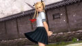 DOA5LR Newcomer Costume Set (School Uniform)