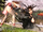 DOA5 Lei Fang vs Kasumi.png