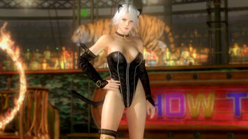 A black cat costume for Christie consisting of a strapless zip-up leotard with silver hems and a faux-fur tail, pull-on sleeves, knee-high boots, a collar and cat ears accessories.