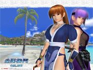 Ayane and Kasumi Wallpaper