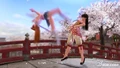 Dead-or-alive-4-20050916064736780.jpg (152 KB) Kasumi vs. Kokoro