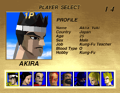 Virtua Fighter
