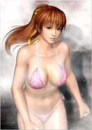 Bathroom poster of Violet Kasumi from Dead or Alive 5 Ultimate, part of a pre-order bonus.