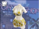 Honoka/Dead or Alive Xtreme 3 costumes