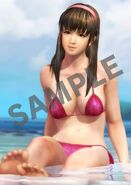 Waterproof promotional poster of Bellatrix Hitomi from Dead or Alive 5 Last Round, also one of two bathroom posters to be released with the Ultimate Package limited edition via a preorder from Amazon Japan and GameCity