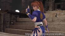 Kasumi in Dead Fantasy I (remake)